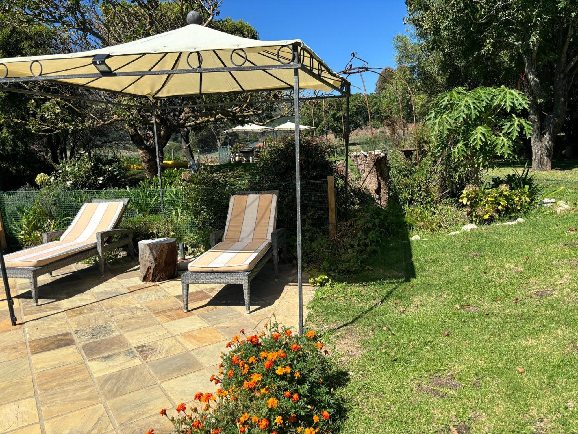 In The Vine Country Manor Guesthouse Stellenbosch Exteriör bild