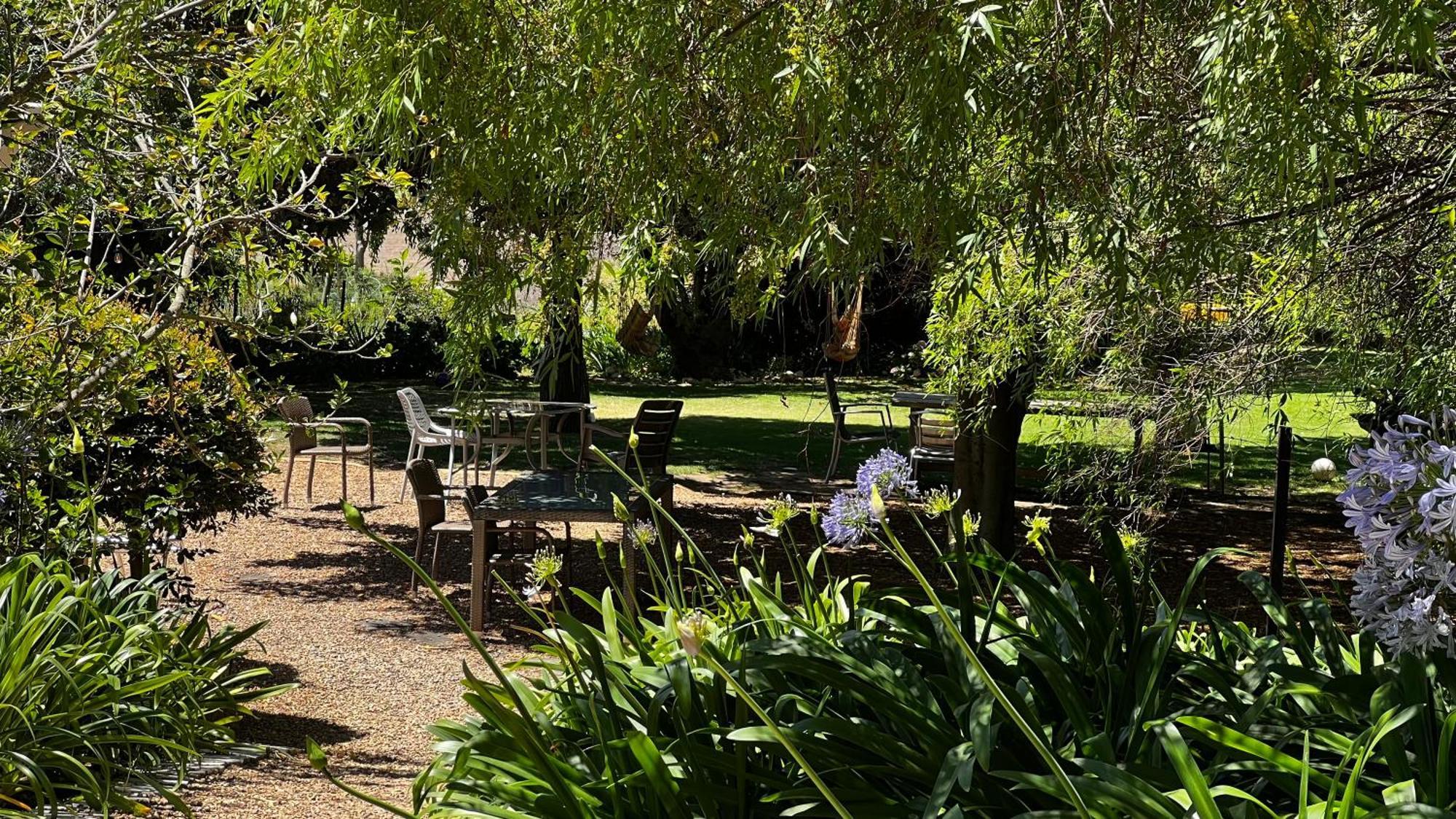 In The Vine Country Manor Guesthouse Stellenbosch Exteriör bild