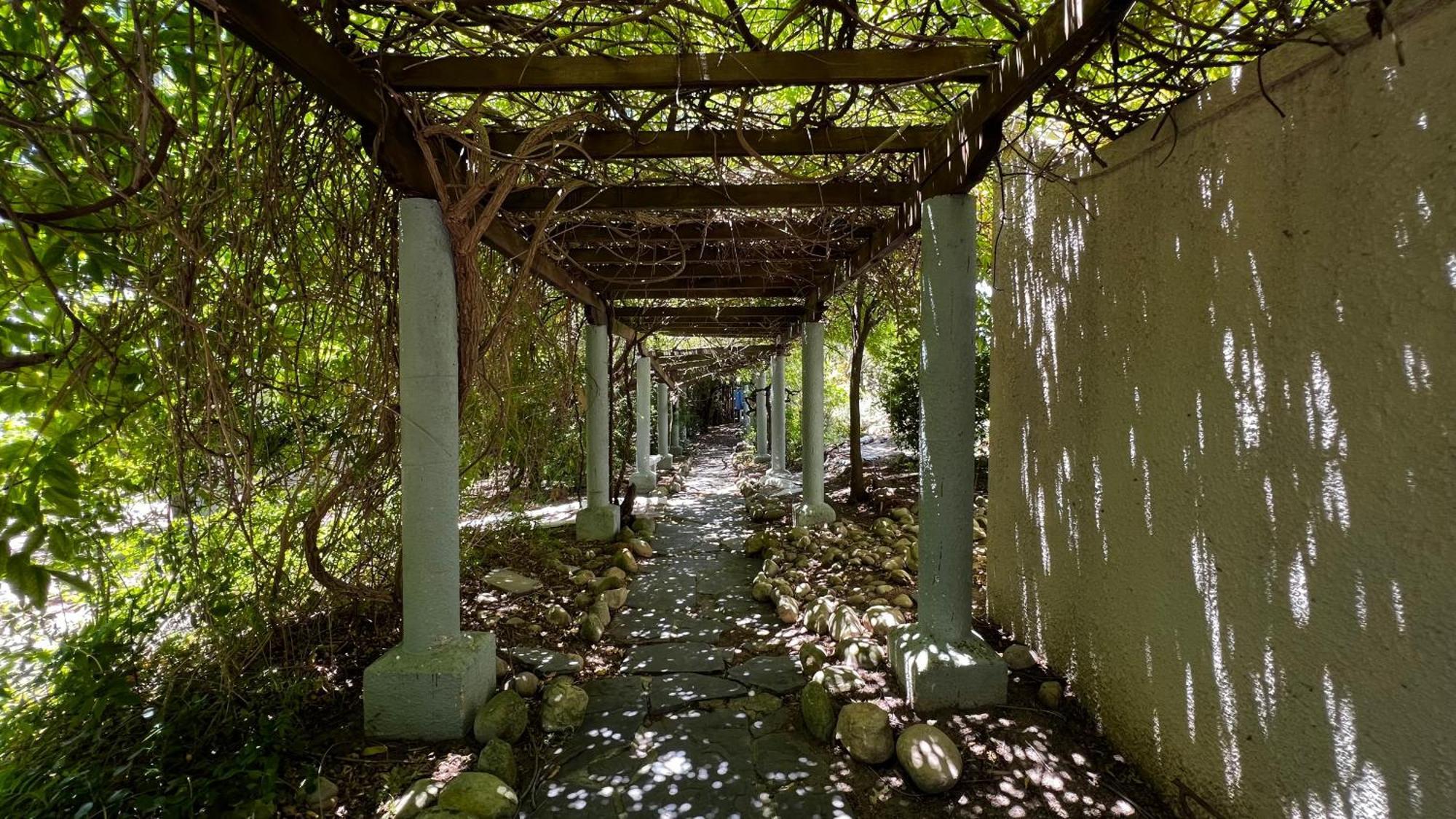 In The Vine Country Manor Guesthouse Stellenbosch Exteriör bild