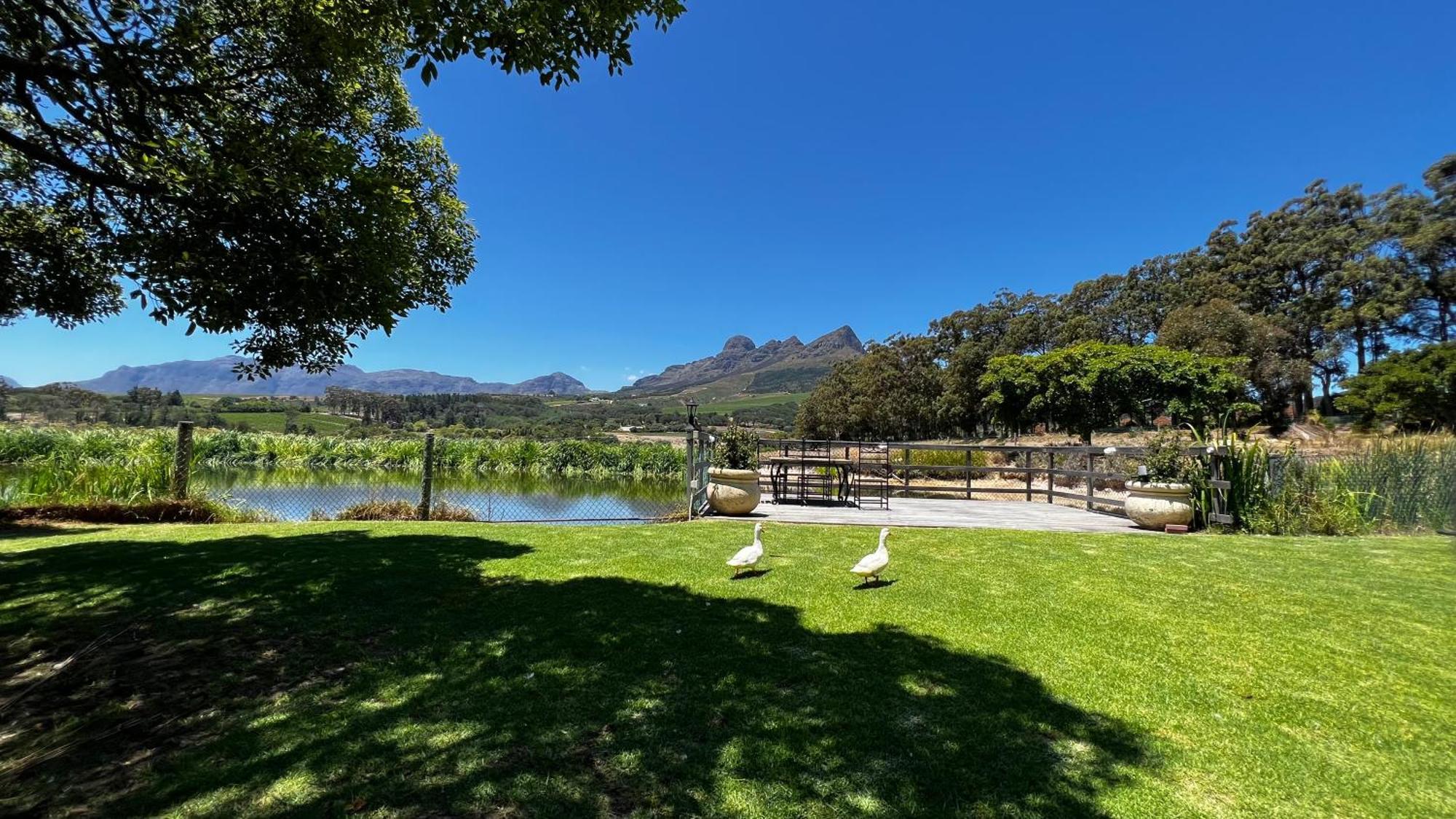 In The Vine Country Manor Guesthouse Stellenbosch Exteriör bild