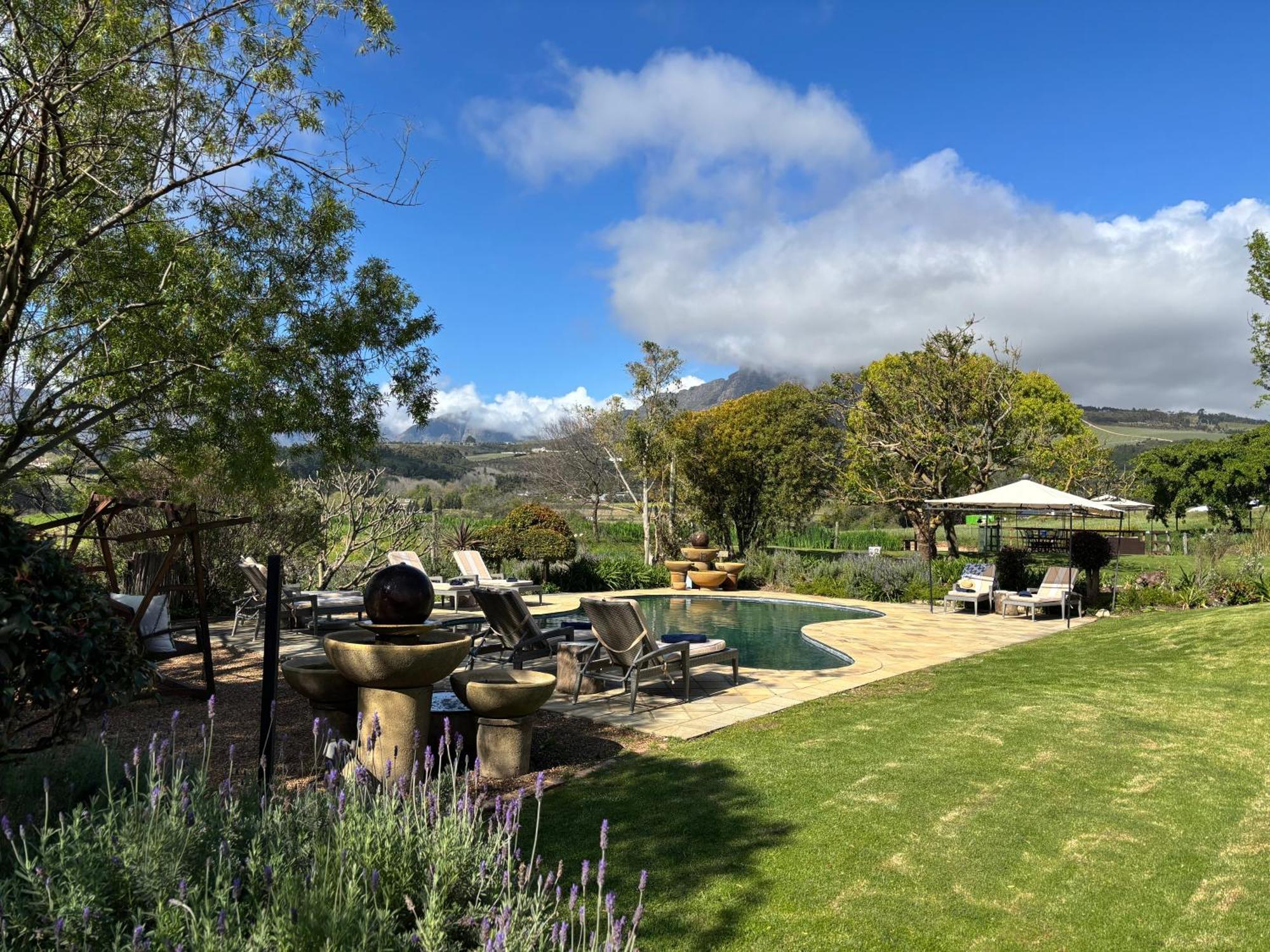 In The Vine Country Manor Guesthouse Stellenbosch Exteriör bild