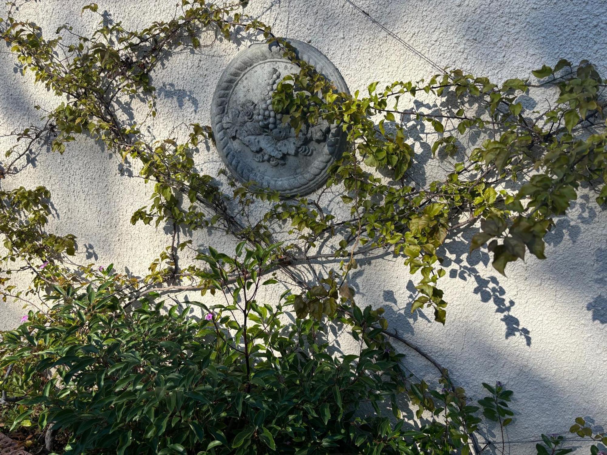 In The Vine Country Manor Guesthouse Stellenbosch Exteriör bild